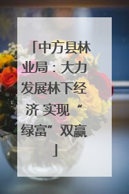 中方县林业局：大力发展林下经济 实现“绿富”双赢