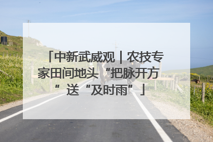 中新武威观｜农技专家田间地头“把脉开方”送“及时雨”
