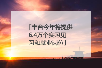 丰台今年将提供6.4万个实习见习和就业岗位