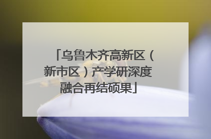 乌鲁木齐高新区（新市区）产学研深度融合再结硕果