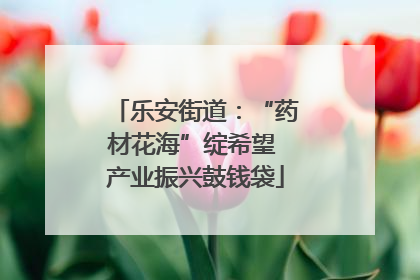 乐安街道：“药材花海”绽希望 产业振兴鼓钱袋