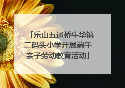 乐山五通桥牛华镇二码头小学开展端午亲子劳动教育活动