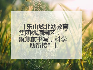 乐山城北幼教育集团桃源园区：“聚焦前书写，科学助衔接”