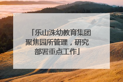 乐山洙幼教育集团聚焦园所管理，研究部署重点工作