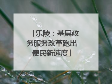 乐陵：基层政务服务改革跑出便民新速度