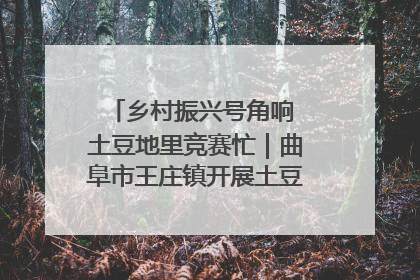 乡村振兴号角响 土豆地里竞赛忙｜曲阜市王庄镇开展土豆收获劳动竞赛