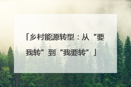 乡村能源转型：从“要我转”到“我要转”