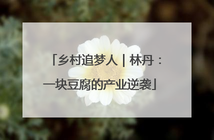 乡村追梦人｜林丹：一块豆腐的产业逆袭