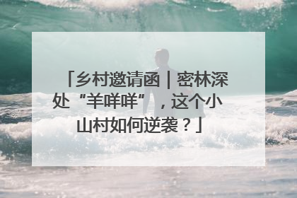 乡村邀请函｜密林深处“羊咩咩”，这个小山村如何逆袭？