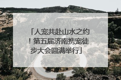 人宠共赴山水之约！第五届济南携宠徒步大会圆满举行