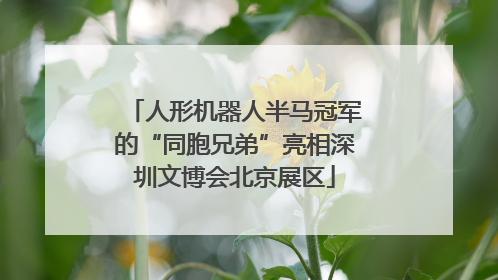 人形机器人半马冠军的“同胞兄弟”亮相深圳文博会北京展区