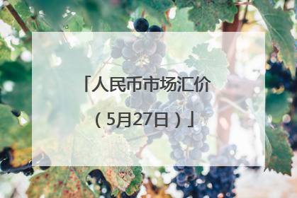 人民币市场汇价（5月27日）
