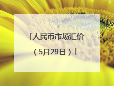 人民币市场汇价（5月29日）