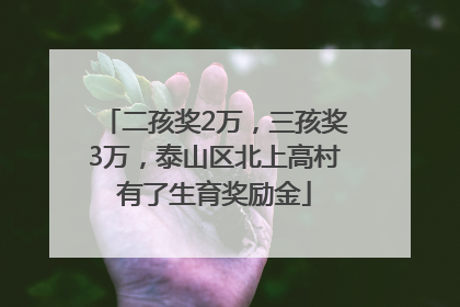 二孩奖2万，三孩奖3万，泰山区北上高村有了生育奖励金