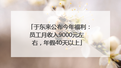 于东来公布今年福利：员工月收入9000元左右，年假40天以上