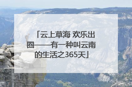云上草海 欢乐出圈——有一种叫云南的生活之365天