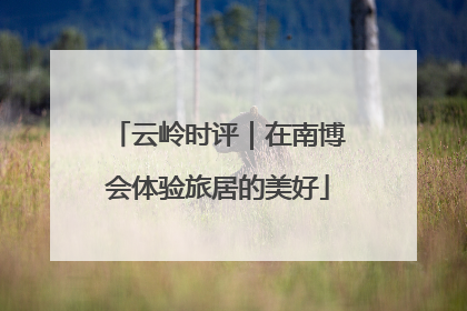 云岭时评｜在南博会体验旅居的美好