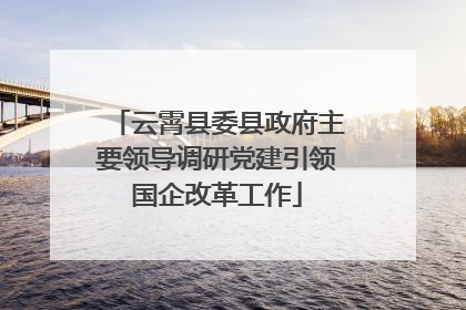 云霄县委县政府主要领导调研党建引领国企改革工作