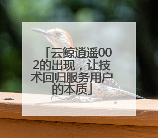 云鲸逍遥002的出现，让技术回归服务用户的本质