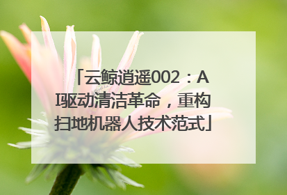 云鲸逍遥002：AI驱动清洁革命，重构扫地机器人技术范式