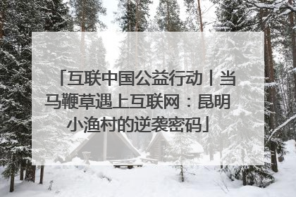 互联中国公益行动丨当马鞭草遇上互联网：昆明小渔村的逆袭密码