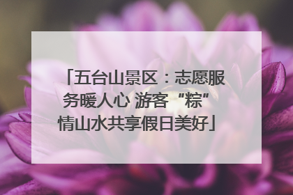 五台山景区：志愿服务暖人心 游客“粽”情山水共享假日美好