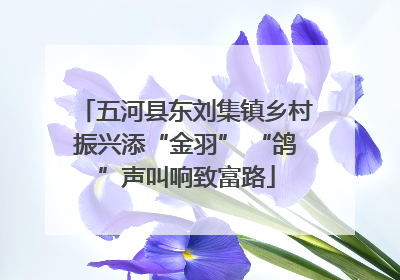 五河县东刘集镇乡村振兴添“金羽” “鸽”声叫响致富路