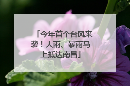 今年首个台风来袭！大雨、暴雨马上抵达南昌