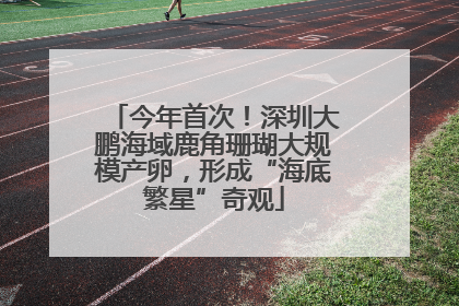 今年首次！深圳大鹏海域鹿角珊瑚大规模产卵，形成“海底繁星”奇观