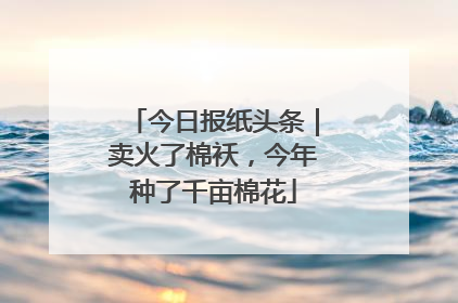 今日报纸头条｜卖火了棉袄，今年种了千亩棉花