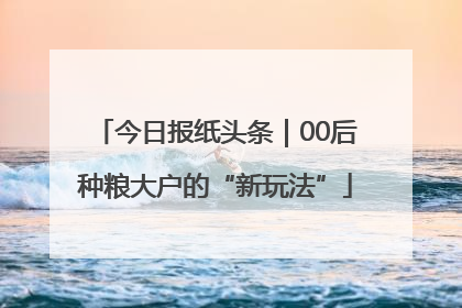 今日报纸头条｜00后种粮大户的“新玩法”