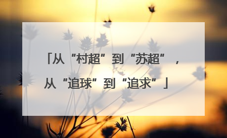 从“村超”到“苏超”，从“追球”到“追求”