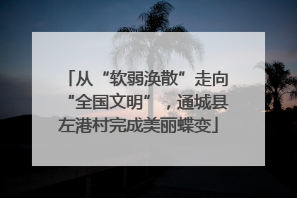 从“软弱涣散”走向“全国文明”，通城县左港村完成美丽蝶变