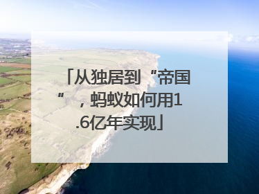 从独居到“帝国”，蚂蚁如何用1.6亿年实现