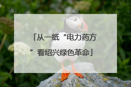 从一纸“电力药方”看绍兴绿色革命