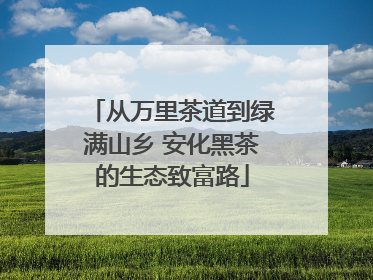 从万里茶道到绿满山乡 安化黑茶的生态致富路