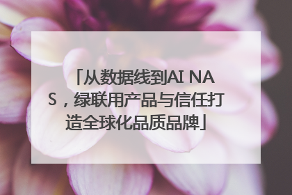 从数据线到AI NAS，绿联用产品与信任打造全球化品质品牌