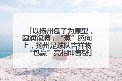 以扬州包子为原型，圆润饱满，“蒸”腾向上，扬州足球队吉祥物“包赢”亮相即售罄