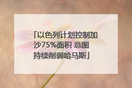 以色列计划控制加沙75%面积 意图持续削弱哈马斯