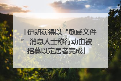 伊朗获得以“敏感文件” 消息人士称行动由被招募以定居者完成