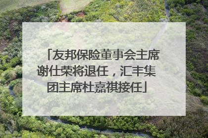 友邦保险董事会主席谢仕荣将退任，汇丰集团主席杜嘉祺接任