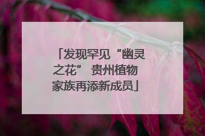 发现罕见“幽灵之花” 贵州植物家族再添新成员
