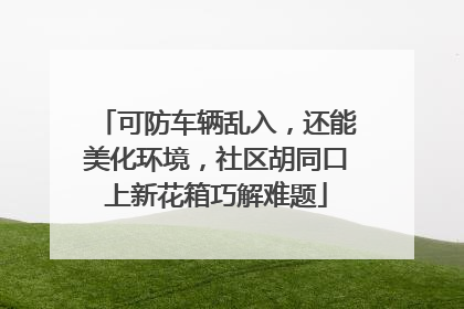 可防车辆乱入，还能美化环境，社区胡同口上新花箱巧解难题