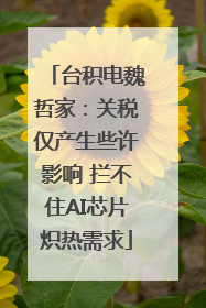 台积电魏哲家：关税仅产生些许影响 拦不住AI芯片炽热需求