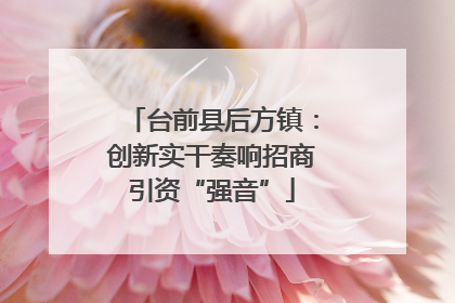 台前县后方镇：创新实干奏响招商引资“强音”