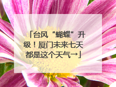 台风“蝴蝶”升级！厦门未来七天都是这个天气→
