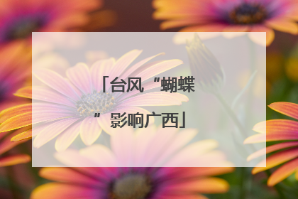 台风“蝴蝶”影响广西