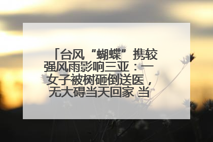 台风“蝴蝶”携较强风雨影响三亚：一女子被树砸倒送医，无大碍当天回家 当地已紧急清障