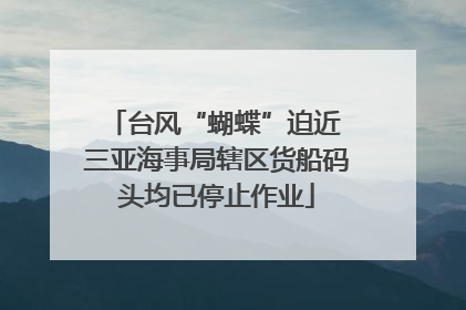 台风“蝴蝶”迫近 三亚海事局辖区货船码头均已停止作业