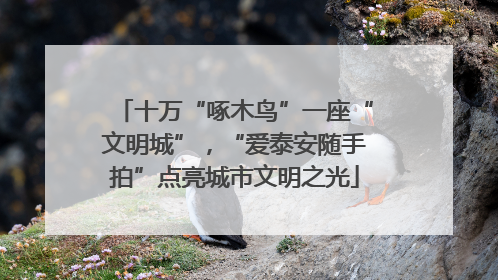十万“啄木鸟”一座“文明城”，“爱泰安随手拍”点亮城市文明之光